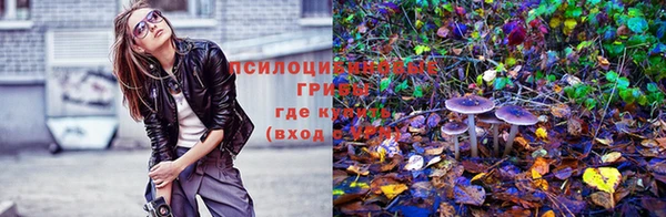 jwh Бугульма
