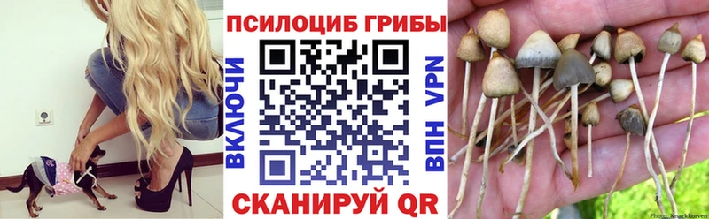 Псилоцибиновые грибы прущие грибы Жердевка